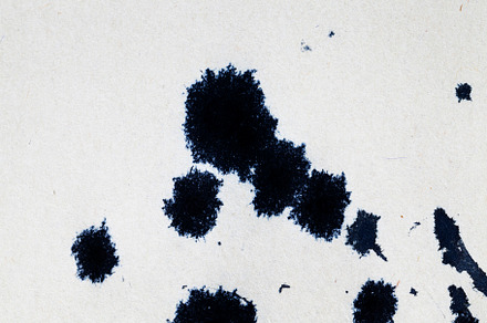 black spots, a Photo by MyPhotos