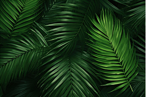 Vibrant Palm leaves tropical, a Nature Photo by Ylivdesign