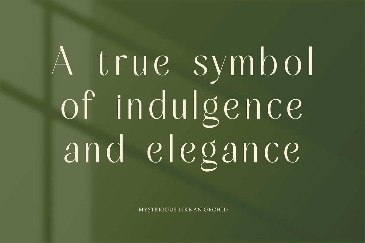 Mugia Elegant Modern Display Font, a Sans Serif Font by timelesstype.co (Photo 5 of 20)