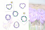 Spring Crocus Flowers Watercolor set, an Illustration by Olga Koelsch (Thumbnail 3 of 8)