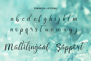 Script font Diamond Crystal, a Script Font by Almazova Dolzhenko (Thumbnail 4 of 11)
