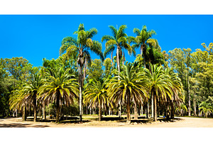 Franklin Delano Roosevelt park near, a Nature Photo by Leonid Andronov