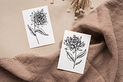 Aster Line Art SVG, an Object Graphic by Dervik Art Store (Thumbnail 2 of 7)