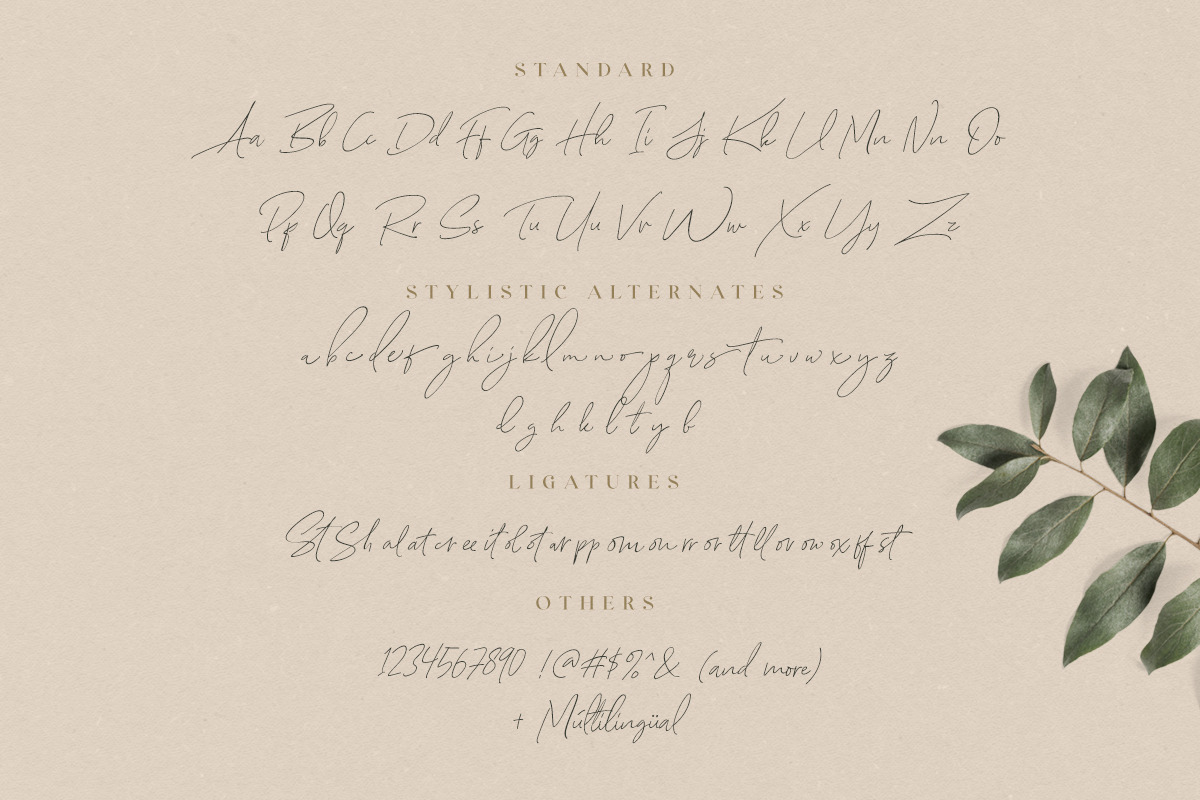 August Stories - LOVELY FONT DUO, a Serif Font by Sarid Ezra (Photo 9 of 9)