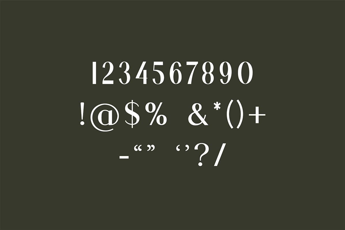 Ambrotype Modern Sans Serif Font, a Sans Serif Font by UICreative (Photo 6 of 12)