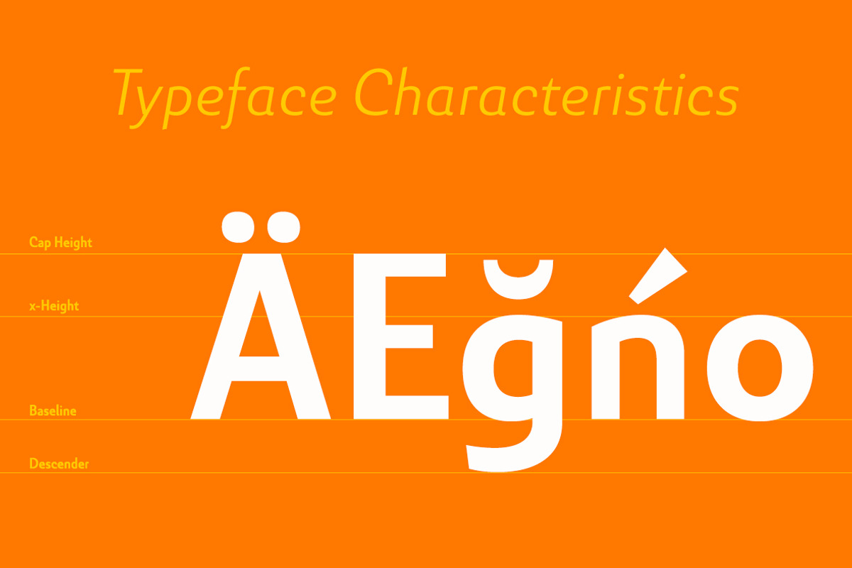 Senlot Sans, a Sans Serif Font by insigne (Photo 3 of 6)