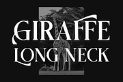 Griena Elegant Serif, a Serif Font by Maryamtype Studio (Thumbnail 3 of 15)