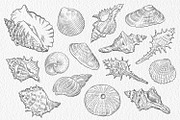 Sea life Procreate Stamp brushes, a Brush Add-On by ViktoriArt (Thumbnail 3 of 7)