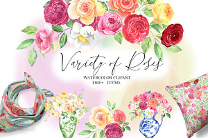 Variety of  Roses