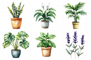 Watercolor Home Plants Clipart, an Illustration by Daily.Designs (Thumbnail 7 of 8)