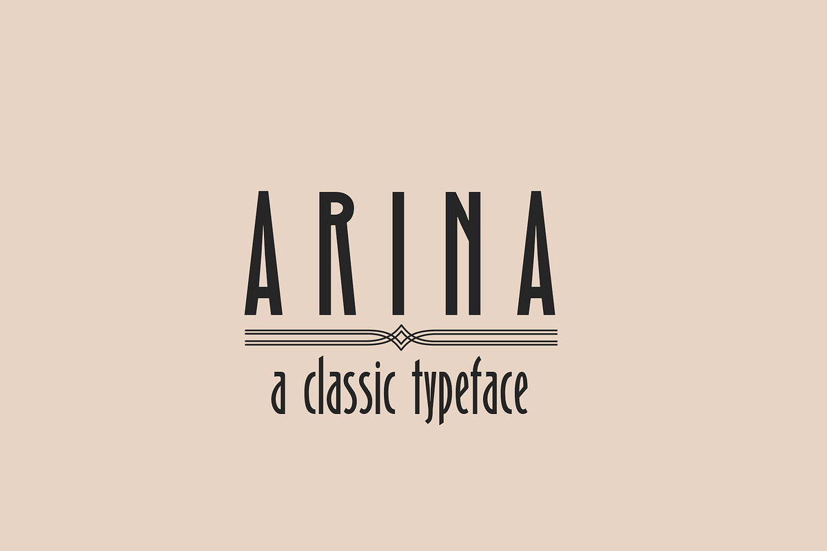 Arina Clasic Sans Serif Font, a Sans Serif Font by DCD Vector Co. (Photo 2 of 6)