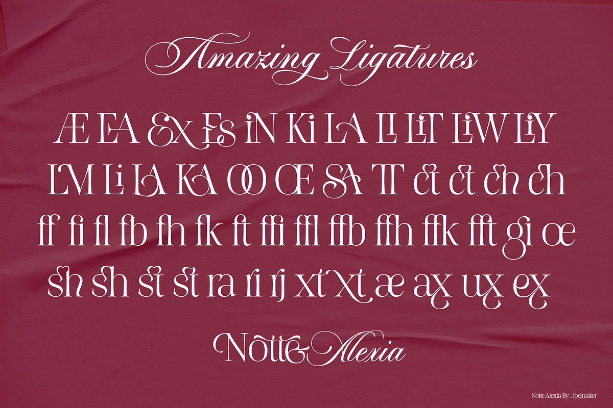 Notte Alexia, a Script Font by joelmaker (Photo 24 of 25)