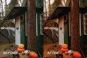 15 Spooky Season Lightroom Presets, a Preset Add-On by TheWayfarerShoppe (Thumbnail 4 of 9)