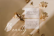 Melliovas - Modern Script Font, a Script Font by Dhabee (Thumbnail 14 of 15)
