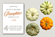 Pumpkins - Realistic Top View MockUp, an Object Graphic by Turning Moss (Thumbnail 1 of 2)