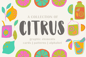 A collection of vibrant citrus, a Food Illustration by lexminci