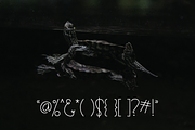 Turtle, a Sans Serif Font by Treich Design (Thumbnail 3 of 4)
