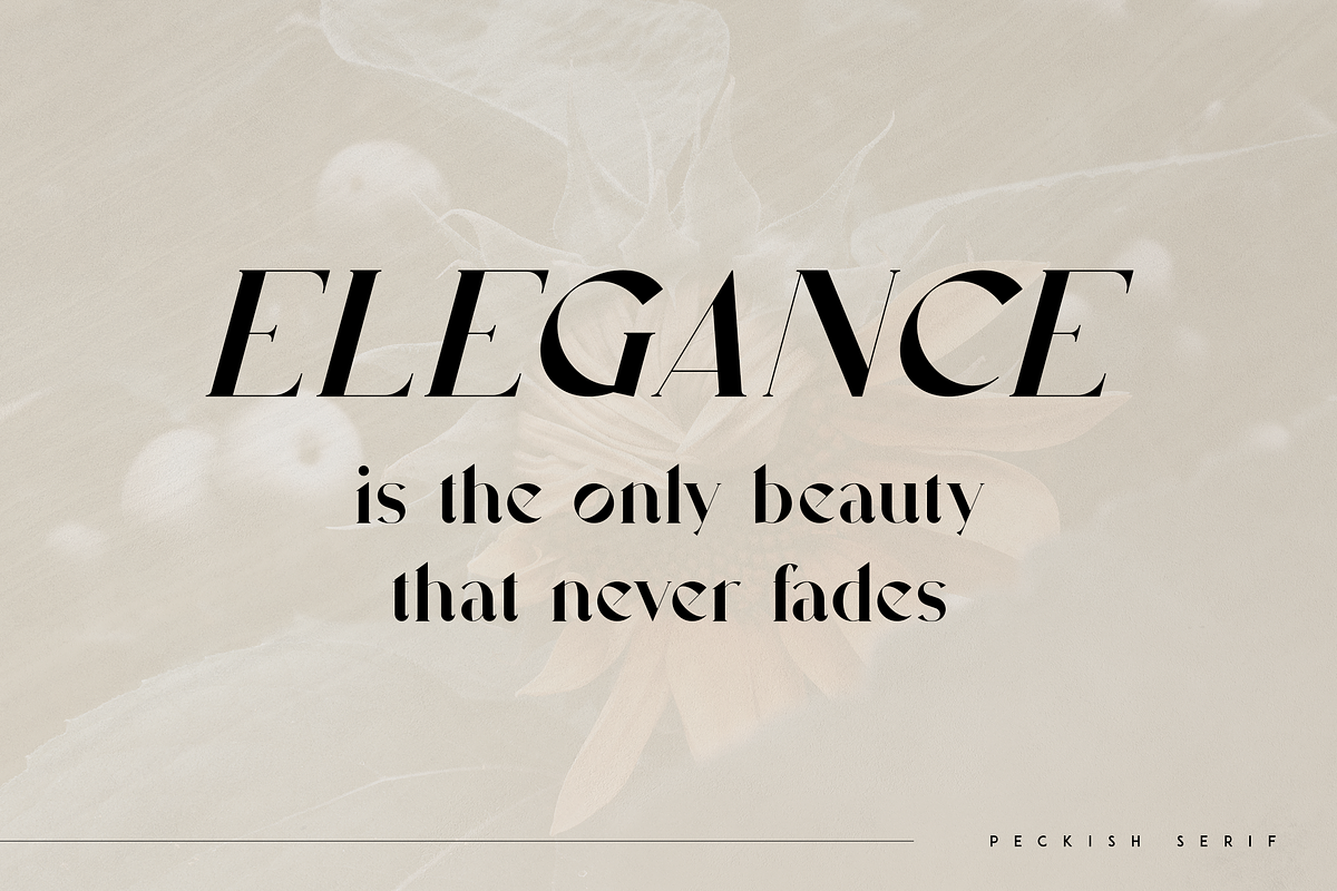 Font Bundle Phase 1 - 66 fonts, a Serif Font by Only Fonts (Photo 26 of 57)
