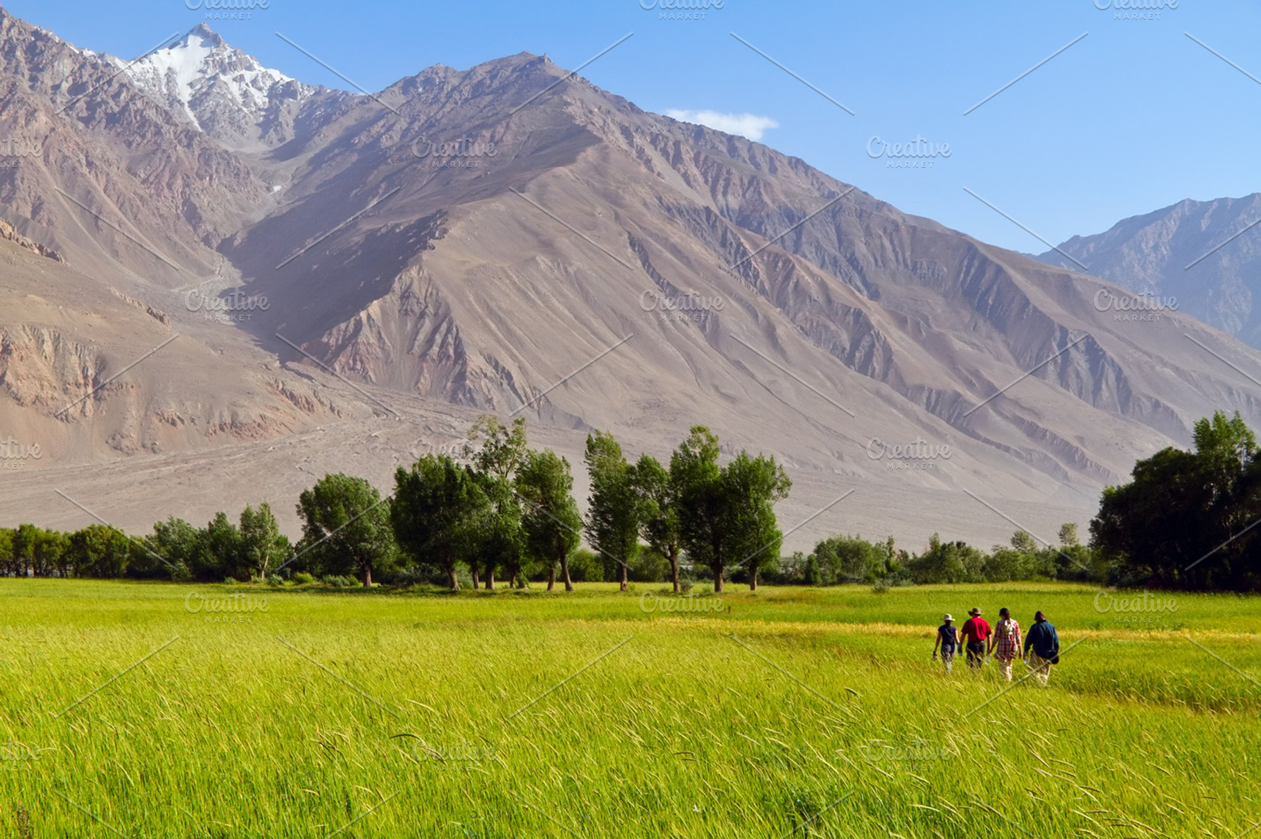 Mountain Landscape Containing Field Landscape And Mountain