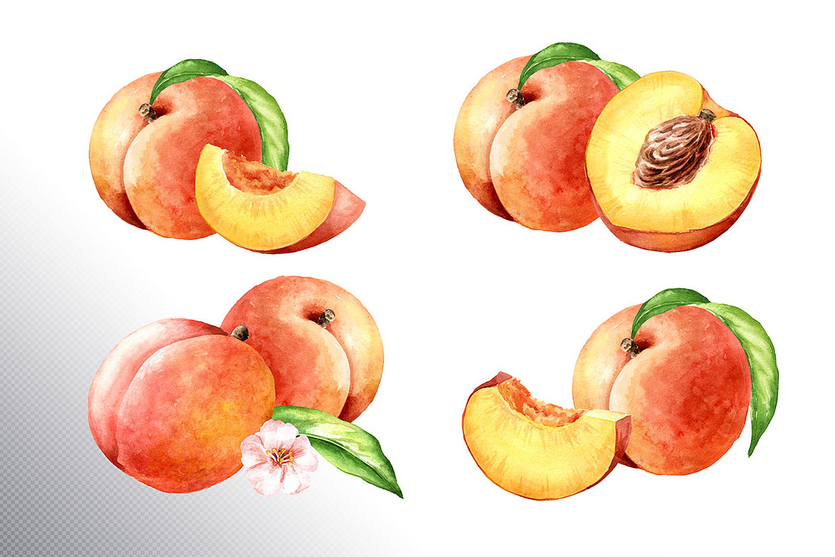 Honey Peaches. Original Watercolor, a Food Illustration by Daria Ustiugova (Photo 5 of 21)