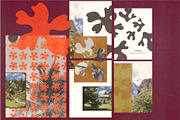 Coral – Hand Drawn Coral Forms, a Decorative Illustration by Madeline ODonoghue Design (Thumbnail 13 of 15)