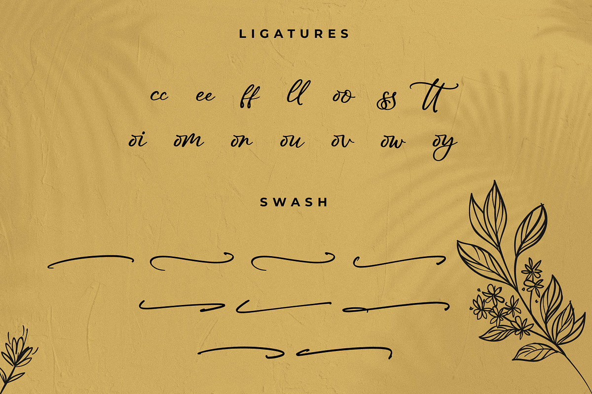 Realmejo Bellame, a Script Font by Integritype Studio (Photo 11 of 15)