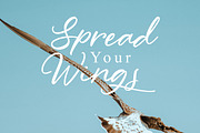 South Highland-Beautiful Script Font, a Script Font by AQR Studio (Thumbnail 7 of 7)