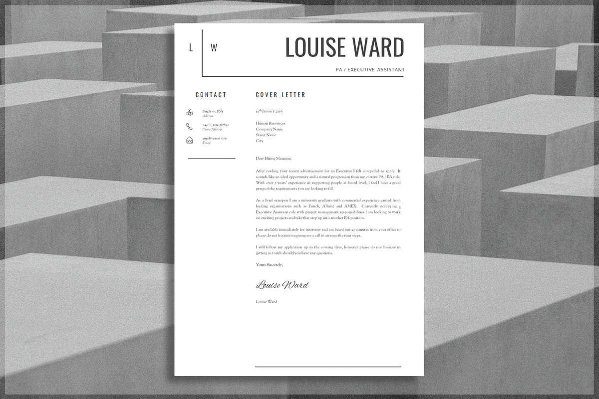 Professional Resume Template, a Resume Template by introDuice - CV / Resumes (Photo 3 of 6)