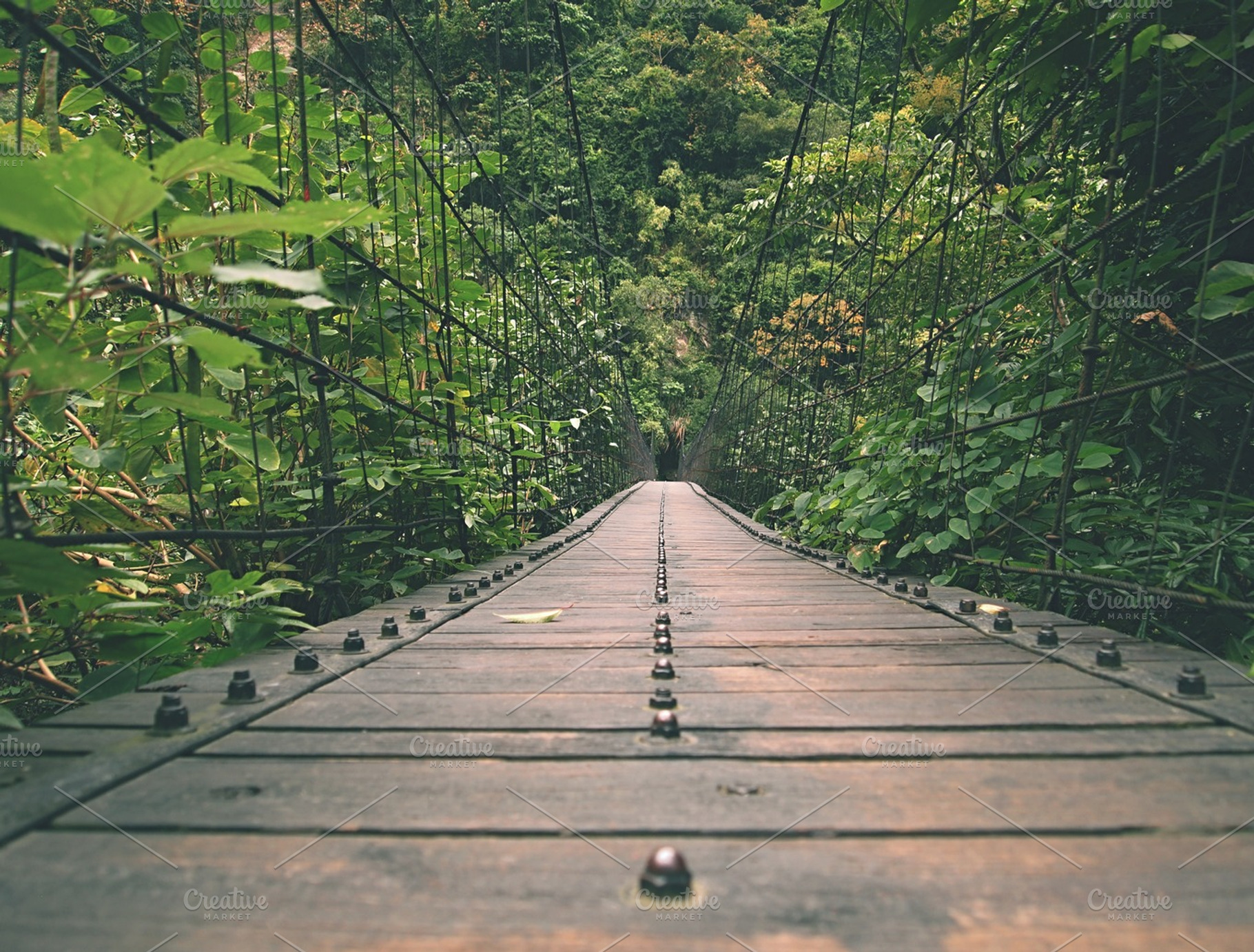 Hanging Bridge Stock Photo Containing Hanging And Bridge