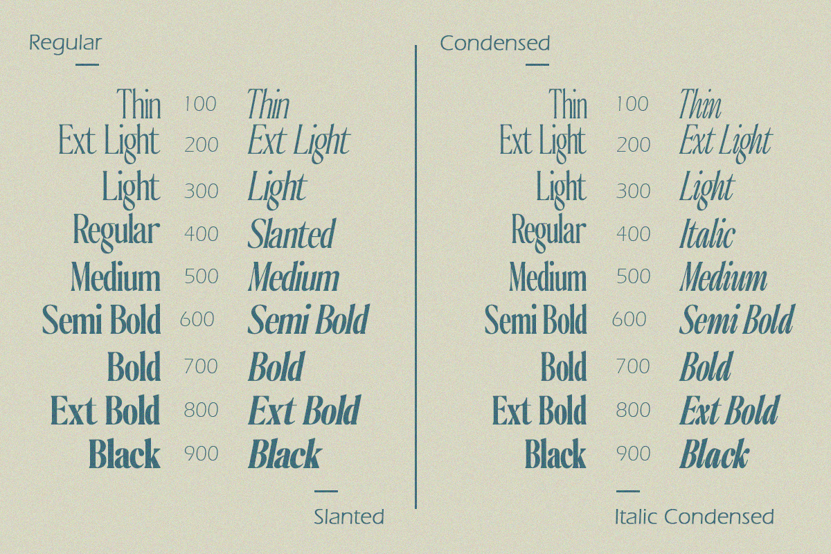 The Qualified Family (54 Fonts), a Serif Font by Positive TypeFoundry (Photo 9 of 15)
