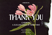 Garmole - Elegant Serif Font, a Serif Font by Hole Hope Design (Thumbnail 10 of 10)