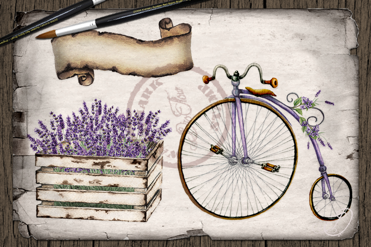 Lavender Ride Bicycle Illustration, a Decorative Illustration by DioFlow (Photo 5 of 5)