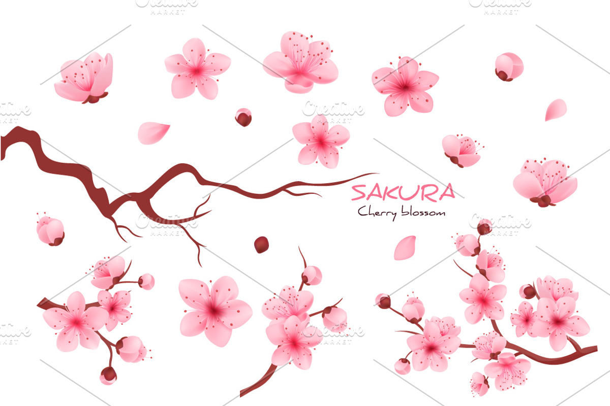 Realistic sakura, a Decorative Illustration by inifer (Photo 1 of 3)