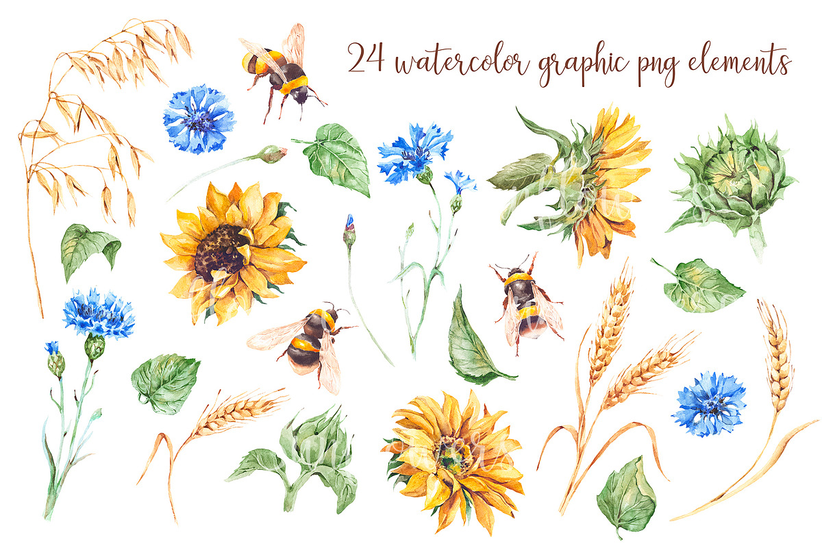Watercolor sunflowers, cornflowers, an Illustration by Alamella (Photo 3 of 4)