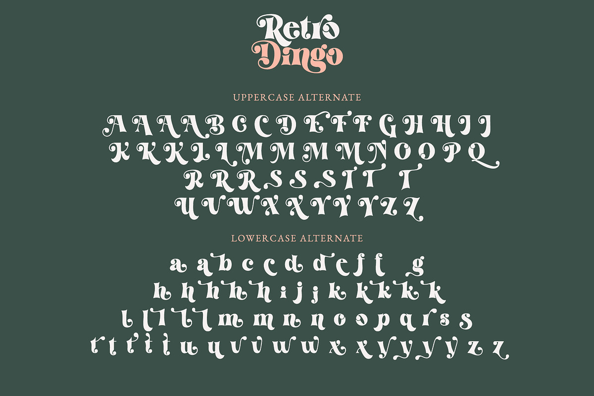 Retro Dingo - Modern Vintage Serif, a Serif Font by Airotype (Photo 11 of 12)