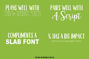 Fish Taco Font, a Sans Serif Font by Nancy Ingersoll (Thumbnail 5 of 5)