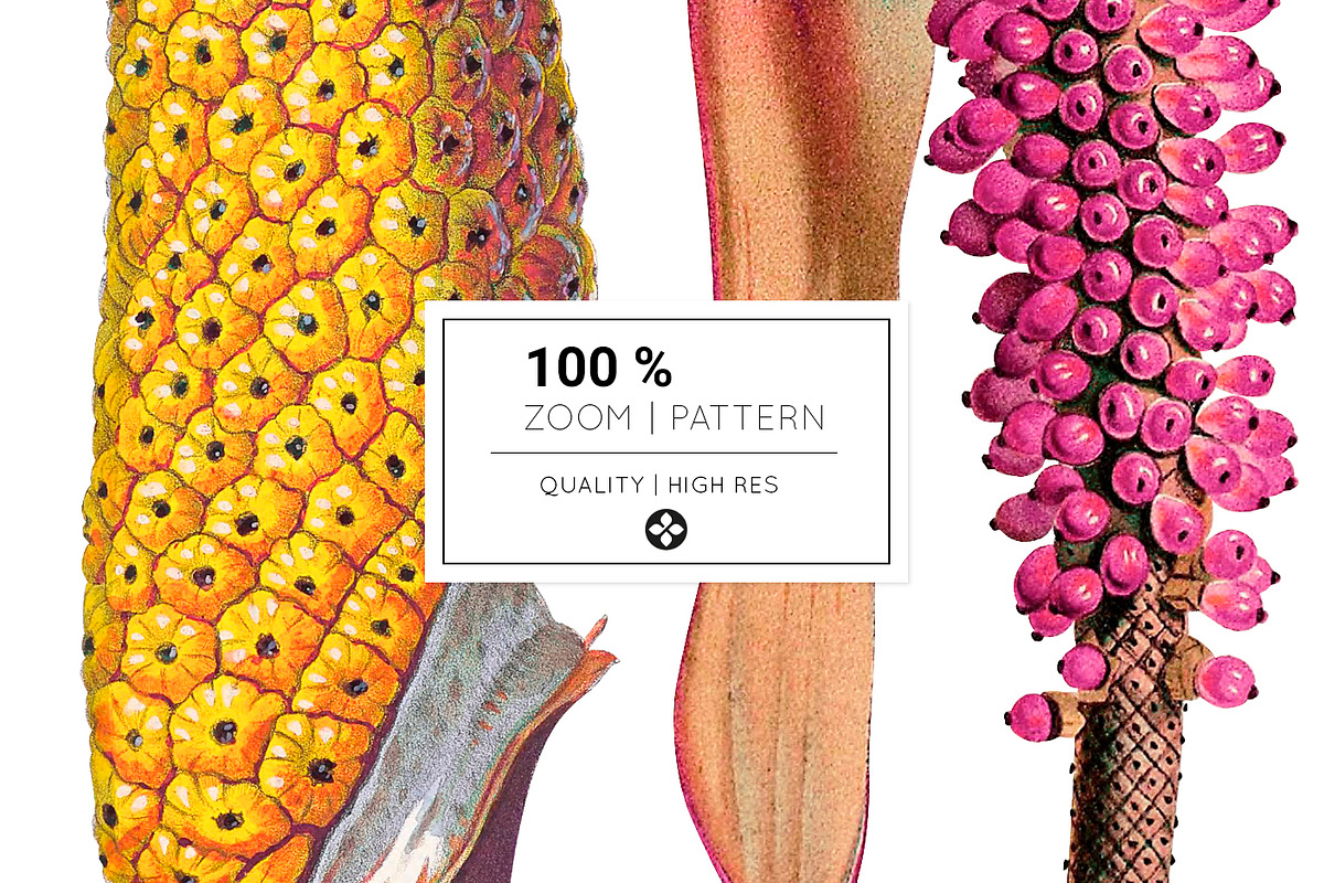 Montage, Luxury Patterns & Motifs, a Pattern Graphic by Pink Linen (Photo 12 of 14)