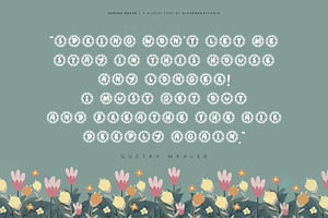 Spring Break - Decorative Font