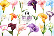 Watercolor Calla Lily Flower Clipart, a Seasonal Illustration by Canvas Craft (Thumbnail 1 of 3)
