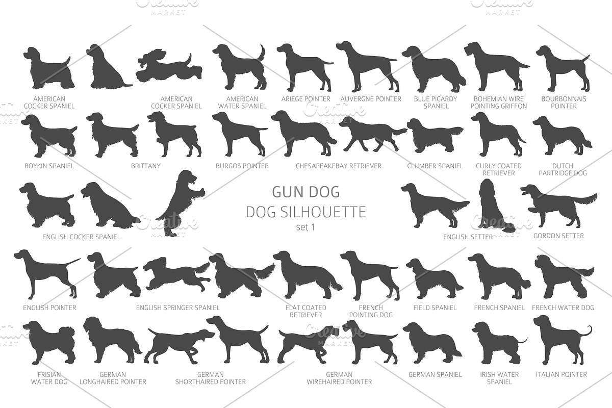 Gun Dogs (Hunting Dogs) Silhouettes, an Animal Illustration by pet design shop (Photo 5 of 13)