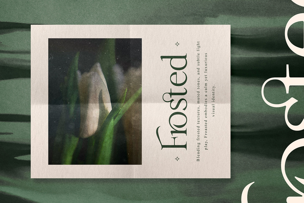 Merona Heavens | Ligature Serif, a Serif Font by Krismagraph (Photo 10 of 12)