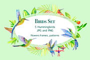 Hummingbirds. Tropical birds., an Illustration by lilisavelieva (Thumbnail 1 of 4)