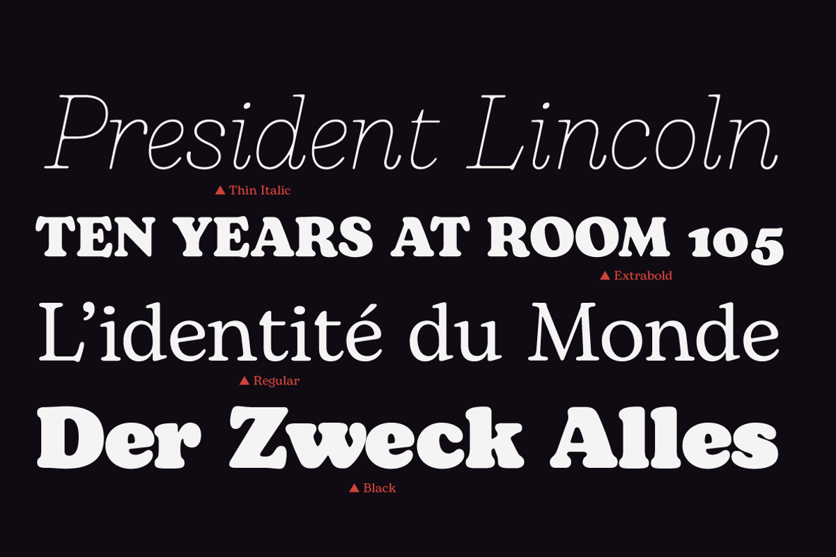 Bogart - 28 fonts, a Serif Font by Zetafonts (Photo 12 of 16)