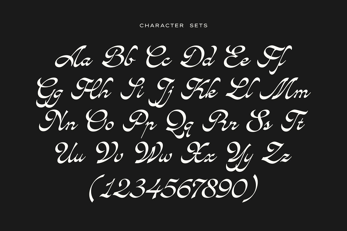 Avandgarde Modern Script, a Font by Swandtype (Photo 10 of 10)