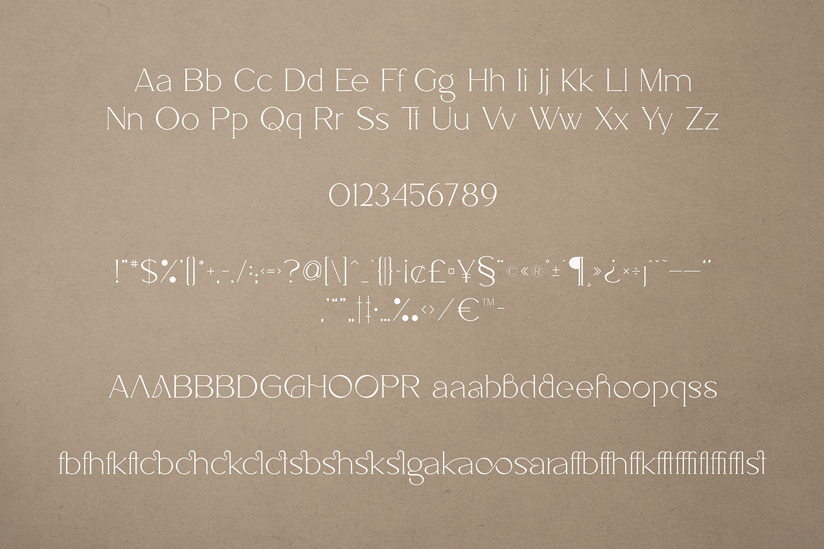 Salve - Elegant Serif + Cyrillic, a Serif Font by VP Fonts (Photo 14 of 20)