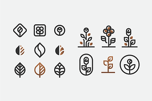 Plant & Flower Vectors