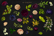 Aubergine Floral Clip Art, an Illustration by Eclectic Anthology (Thumbnail 6 of 9)