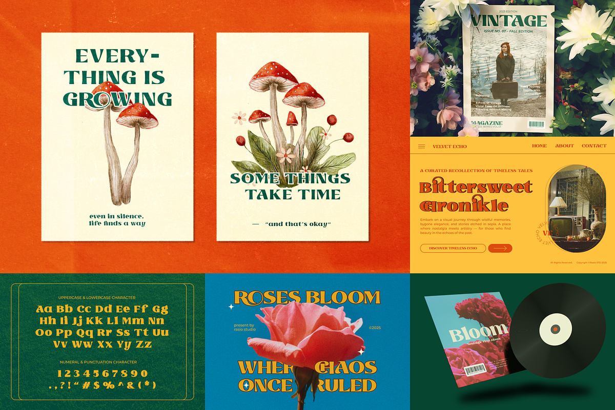 Bold Serif Font Bundle, a Serif Font by Rasio Studio (Photo 9 of 12)