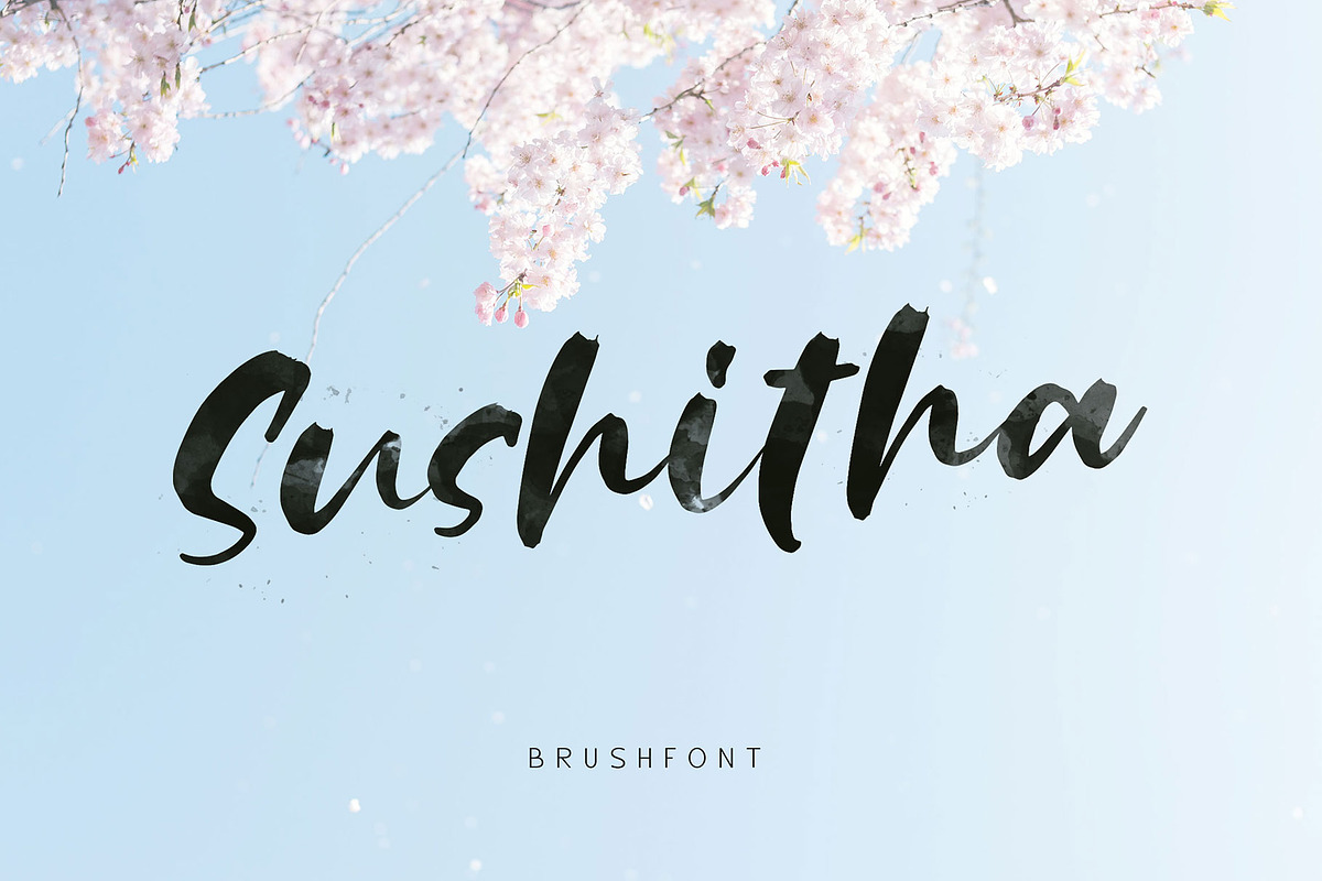 Sushitha, a Script Font by alit design (Photo 1 of 11)