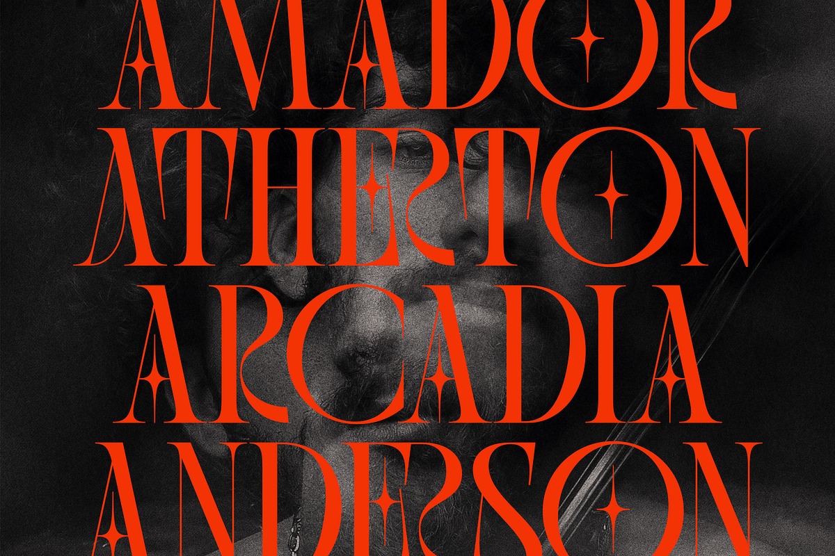 SLTF BOXROOM - Modern Serif Typeface, a Serif Font by SilverStag Type Foundry (Photo 25 of 30)